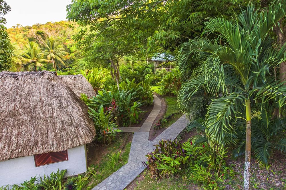 A winding stone path leads through lush greenery to thatched-roof cottages.