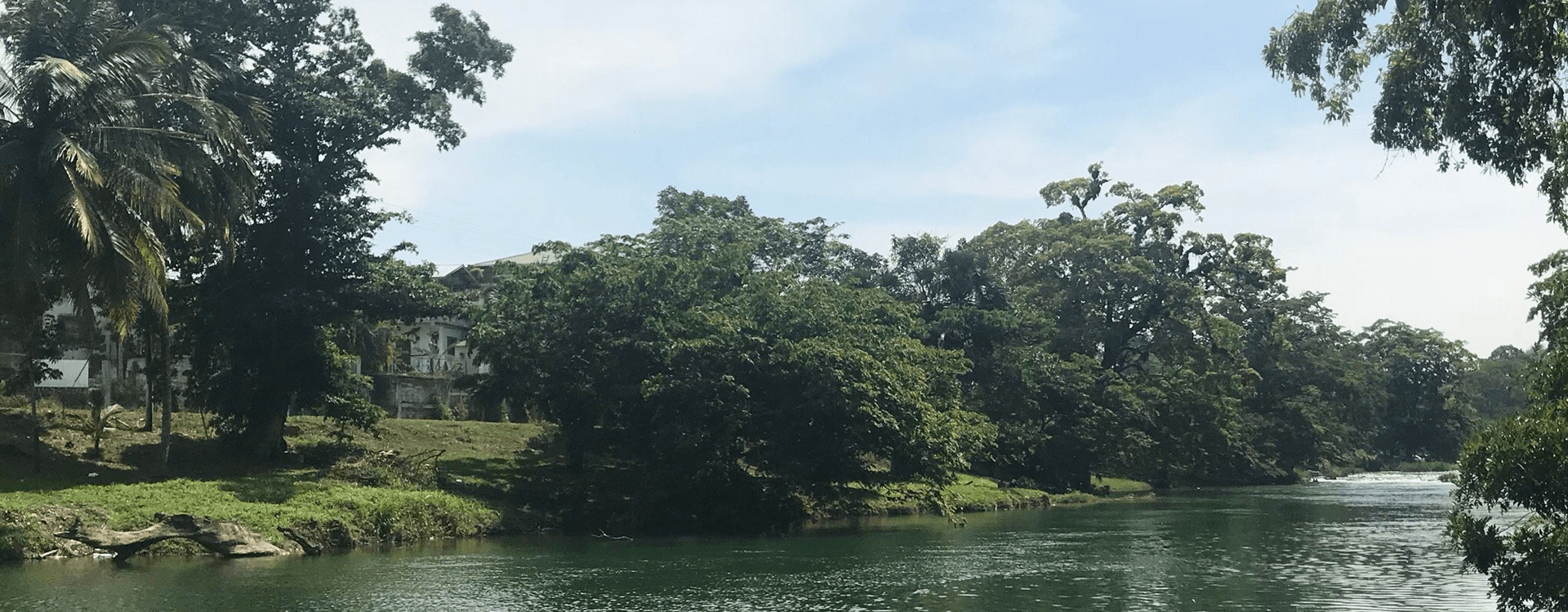 A serene riverbank surrounded by lush greenery under a blue sky.