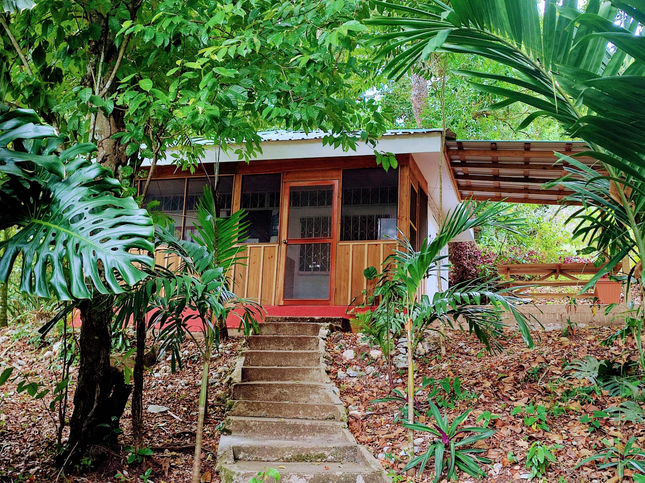 Accommodations that are comfortable, clean, affordable in a jungle setting